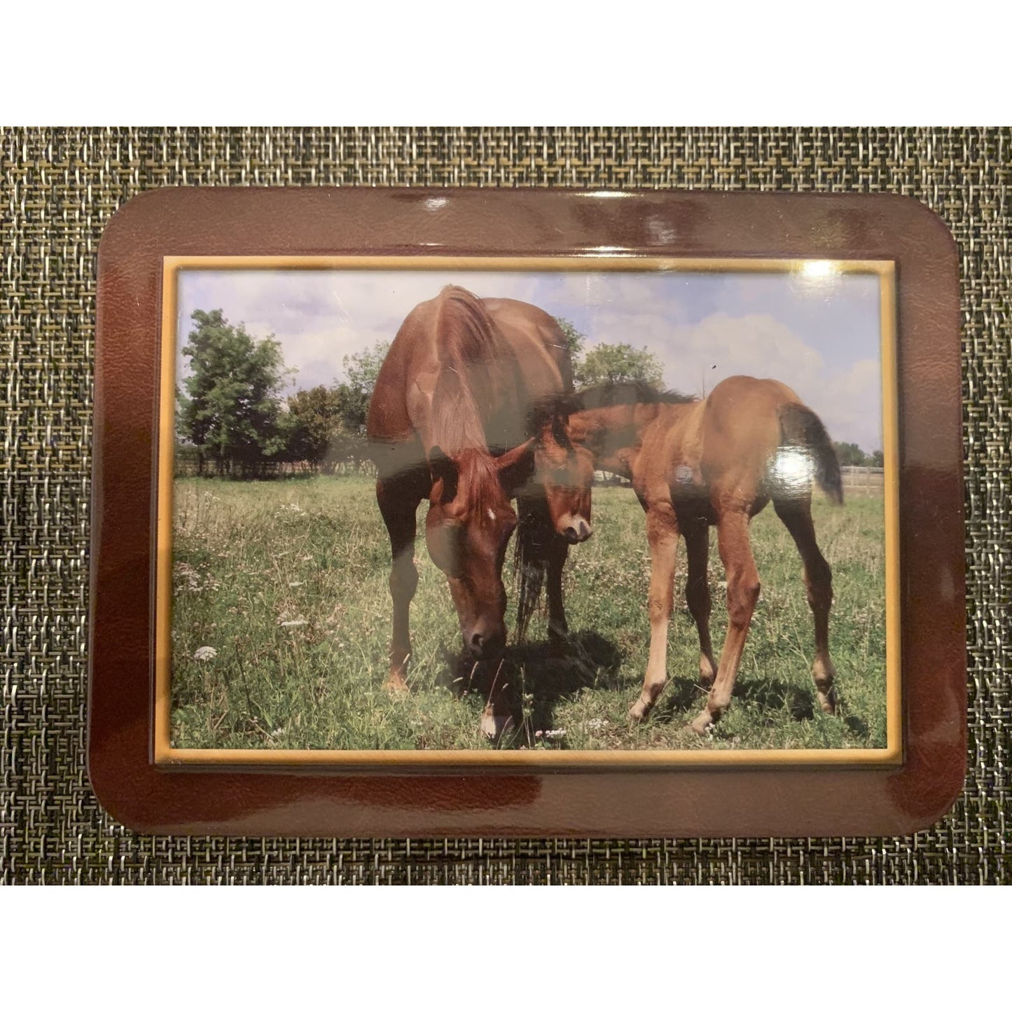 Tin Can with Photos of Horses