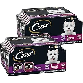 Cesar Wet Dog Food Classic Loaf in Sauce